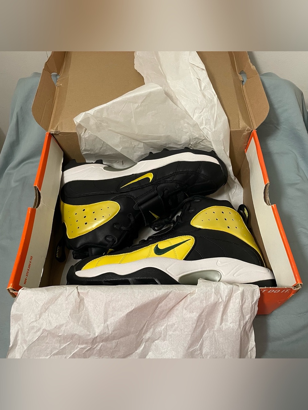 Nike Air Pro Shark Stove 00 PE Oregon PROMO SAMPLE